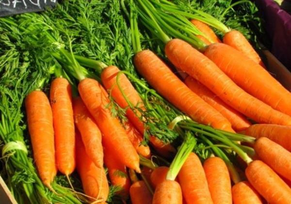 Havularn rengi 17. Yy kadar turuncu deil mordur.