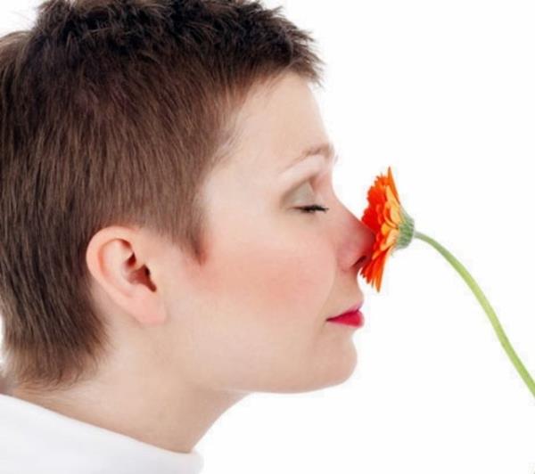 nsan burnu tam 1 trilyon farkl kokuyu ayrt edebilecek kadar hassas. Fakat insanlar bu zelliklerinin farknda olmad iin gelitirebilecekleri bu zellikleri yaamlar sresince yava yava kreltiyor.