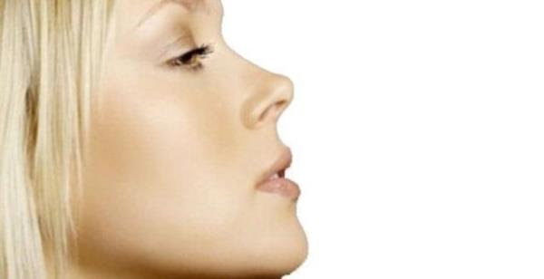 Genelde burunlar fiziksel yap olarak 14 gruba ayrlyor. (Etli burun, Yunan burnu, atmaca burun, Roma burnu, kalkk burun, ampul burun, kemerli burun, Nixon burnu. Dier 6 burun eidi resimlerle snflandrld halde isimlendirilememi.)