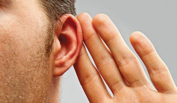 Sol kulanz arknn kaynana doru dnn. Bu aratrmaya gre sol kulanz mzik tonlarn semekte daha baarl.