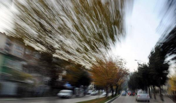 <p><b>GRLTL ORTAMDA SADECE SOL KULAI TIKAYIN </b></p>  Bir partiye gittiniz ve yksek sesle alan mzie ramen karnzdakinin ne dediini duymaya alyorsunuz.