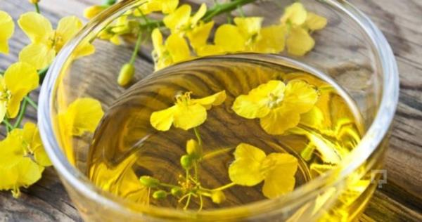 Sar kantaron otu: Stres, sinir bozukluklar ve uyku problemleri iin kullanlr.