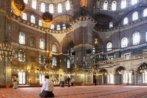 Bilimsel aratrmalarn insan boyunun kldke elektromanyetik dalgalara urama orannn daha da azaldn gsterdiini syledi.