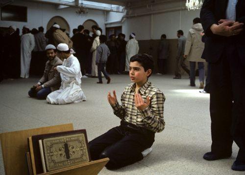 nsann secde halindeyken elektromanyetik dalgalara daha az maruz kaldn ve alnn yere demesiyle vcuttaki elektromanyetik ykn darya boaltldn tespit ettiini kaydeden Profesr Ziyaeddin...