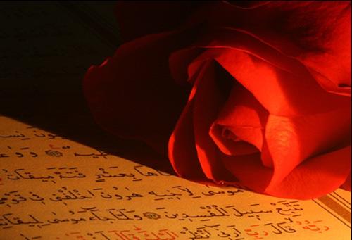 Ailede proplem varsa hakemle zlr. Allah bu ekliyle baarl klar. (Nisa-35)