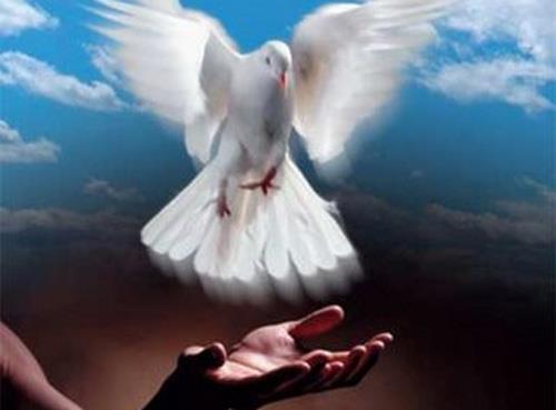 Sulh hayrldr. (Nisa-128)