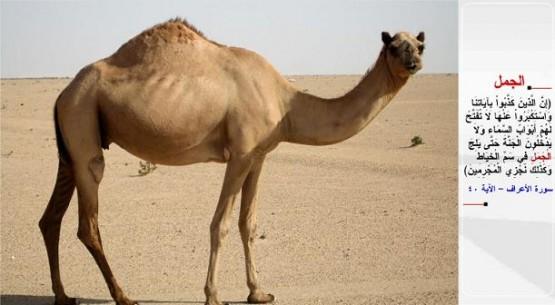 DEVE- &#8220;Bizim yetlerimizi yalanlayp da onlara kar kibirlenmek isteyenler var ya, ite onlara gk kaplar almayacak ve onlar, deve ine deliine girinceye kadar cennete giremiyeceklerdir! Sulular ite byle cezalandrrz!&#8221; (el-A&#8217;raf / 40)