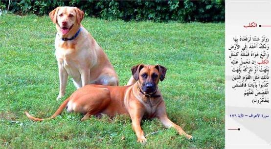 KPEK- &#8220;Dileseydik elbette onu bu yetler sayesinde ykseltirdik. Fakat o, dnyaya sapland ve hevesinin peine dt. Onun durumu tpk kpein durumuna benzer: stne varsan da dilini karp solur, braksan da dilini sarktp solur. te yetlerimizi yalanlayan kavmin durumu byledir. Kssay anlat; belki dnrler.&#8221; (el-A&#8217;raf / 176)