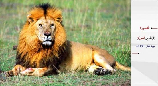 ASLAN- &#8220;Aslandan kamaktalar.&#8221; (Mddessir / 51)