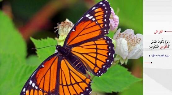 KELEBEK- &#8220;O gn insanlar yaylm kelebekler gibi olurlar.&#8221; (el-Karia / 4)