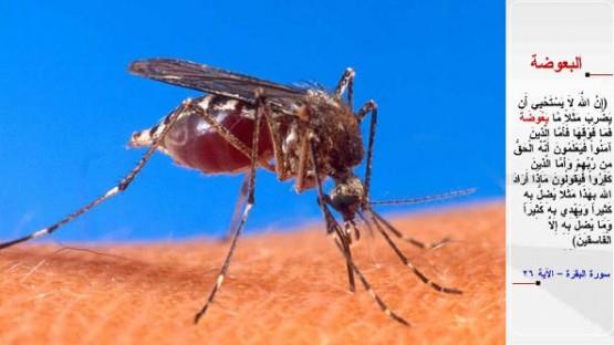 SVRSNEK-&#8220;phesiz Allah (hakk aklamak iin) sivrisinek ve onun da tesinde bir varl misal getirmekten ekinmez. man etmilere gelince, onlar byle misallerin Rablerinden gelen hak ve gerek olduunu bilirler. Kfir olanlara gelince: Allah byle misal vermekle ne murat eder? derler. Allah onunla birok kimseyi saptrr, biroklarn da doru yola yneltir. Verdii misallerle Allah ancak fsklar saptrr (nk bunlar birer imtihandr).&#8221; (el-Bakara / 26)