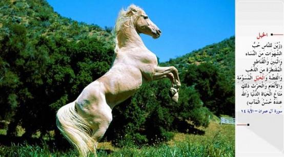 AT- &#8220;Nefsan arzulara, (zellikle) kadnlara, oullara, yn yn biriktirilmi altn ve gme, salma atlara, samal hayvanlara ve ekinlere kar dknlk insanlara ekici klnd. Bunlar, dnya hayatnn geici menfaatleridir. Halbuki varlacak gzel yer, Allah'n katndadr.&#8221; (Al-i mran / 14)