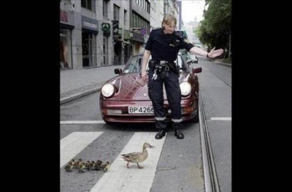 rdeklere yol veren polis