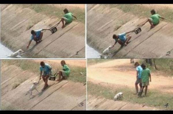 ki arkada hendee den kpei kurtaryor.