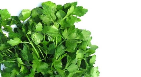 Mide asit salgsn arttrd iin itah ac zellii vardr.