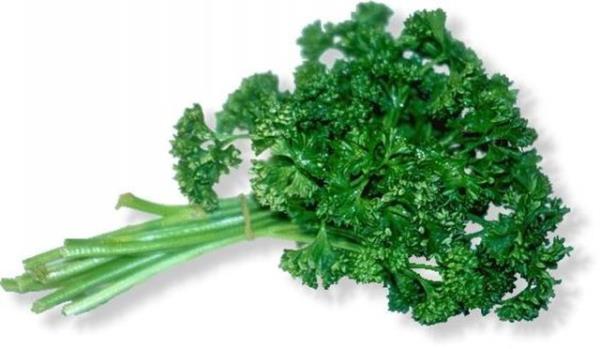 inde bulunan magnezyum ve kalsiyum elementleri olduundan dolay di etlerini glendirir ve kemik geliimin de etkin rol oynar.