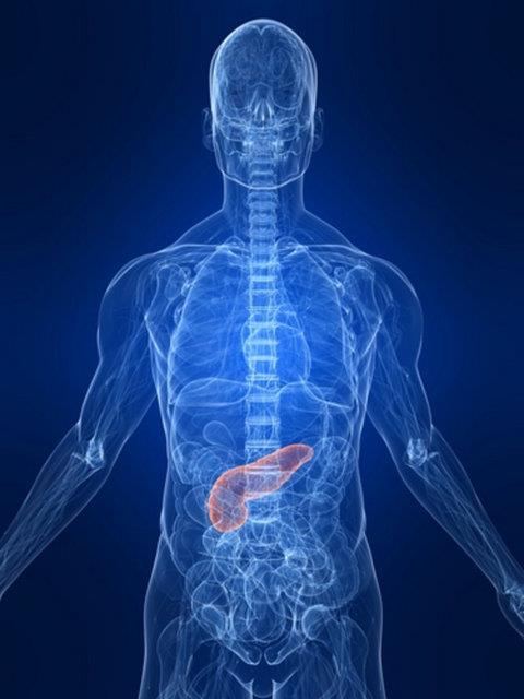 Kronik pankreatit, geirilmi akut pankreatit, pankreas kanseri gibi pankreas hastal bulunan kiilerin oru tutmadan nce mutlaka doktorlarna danmalar gerekir.