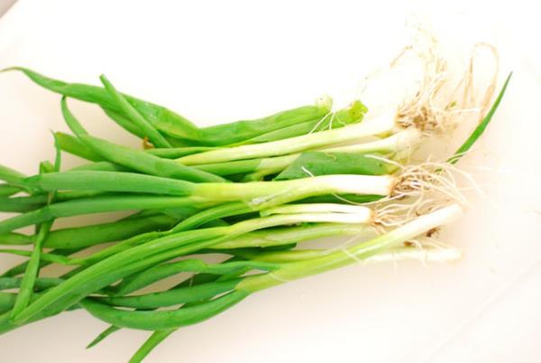 Soan dorandktan sonra en ge 30 dakika iinde tketilmelidir. Havayla temas etmesi ierdii yararl maddelerin kaybna yol aar ve ge tketilmesi midede gaz, ekime ve arlara neden olabilir.