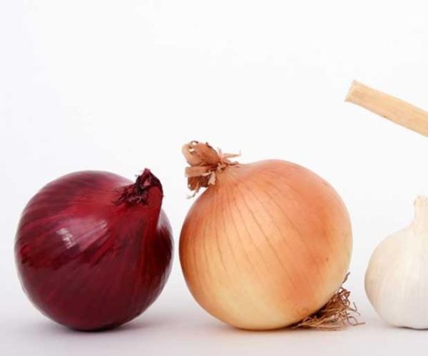 Zihinsel ve bedensel yorgunluu giderir.