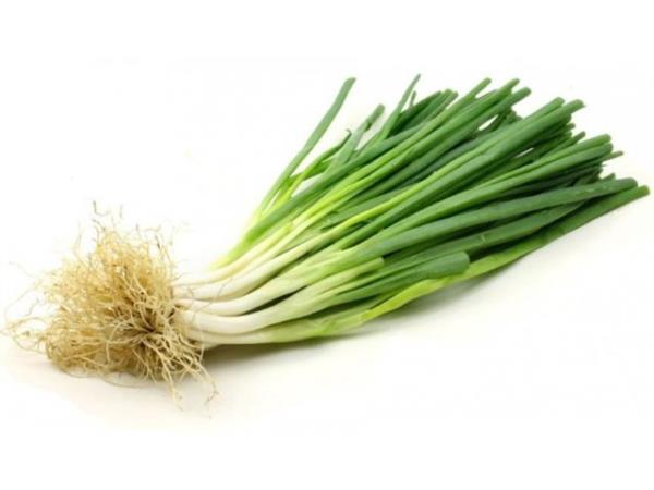 Yksek kan basncn nler. Damarlarn genilemesini salar.