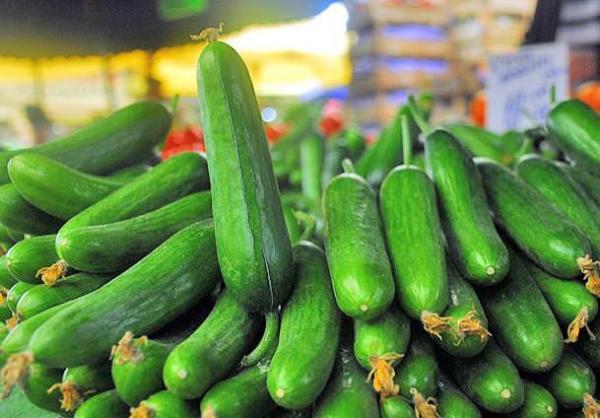 Salatalk vitamin A, C ve bir miktar lif ieren salatalk ayn zamanda dk kalorili bir yiyecek. Attrmalk tketilmesi tavsiye ediliyor.