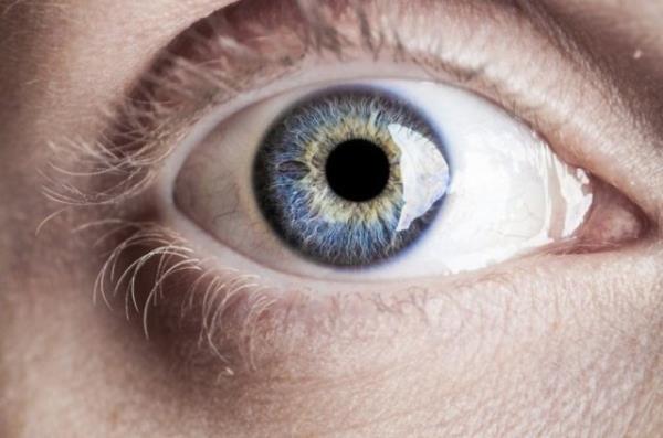 Bilimadamlar mavi gzl tm insanlarn ayn ataya sahip olduunu kefetti. Mavi renk gz, yaklak 6000-10000 yl nce ortaya kan bir genetik mutasyon sonucu olumu, ve mavi gzl herkesin silsilesi Karadeniz'de yaam olan bu ataya ulayor.