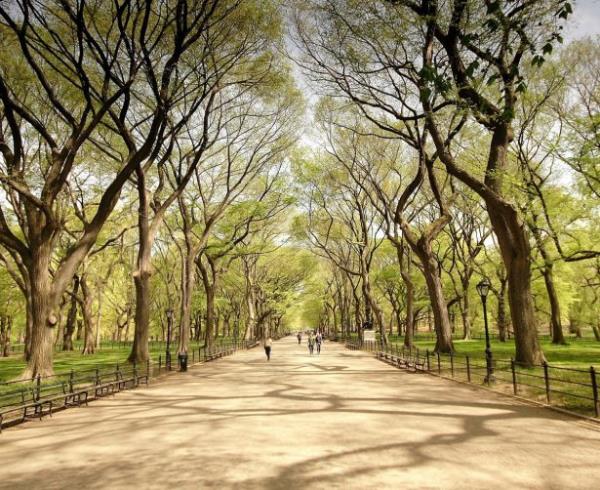 Central Park (New York / ABD)