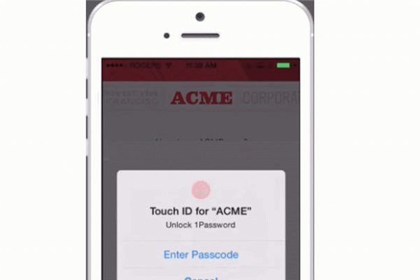 <br><b>1Password</b></br>  ifrelerinizi gvenle kaydediyor.