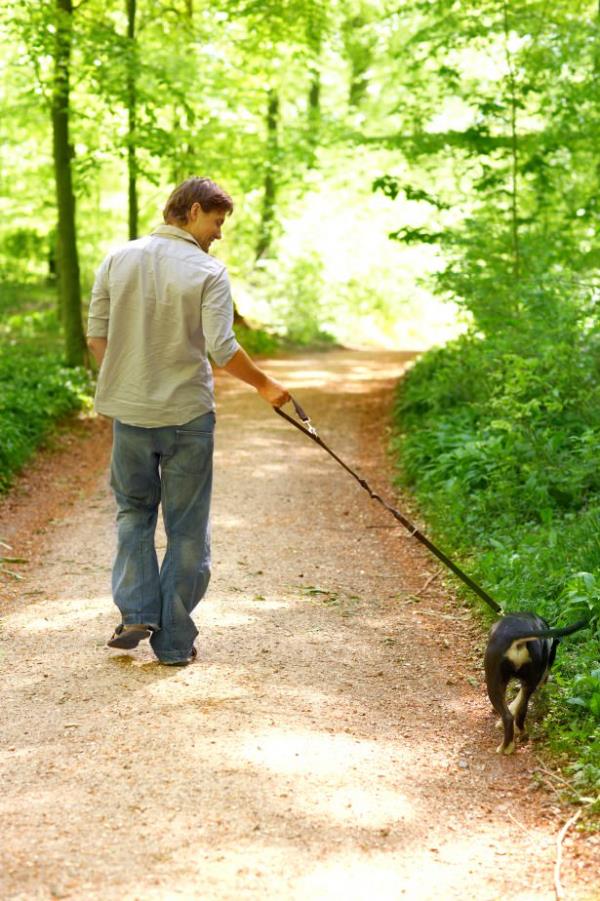 Sindirime yardmc olur