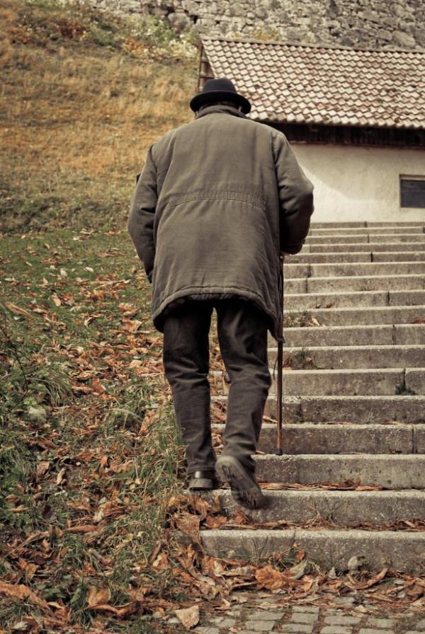 zellikle yallarda fiziksel fonksiyonlarn iyilemesinde katkda bulunarak gnlk yaantlarnda daha kolay srdrebilmelerine yardmc olur