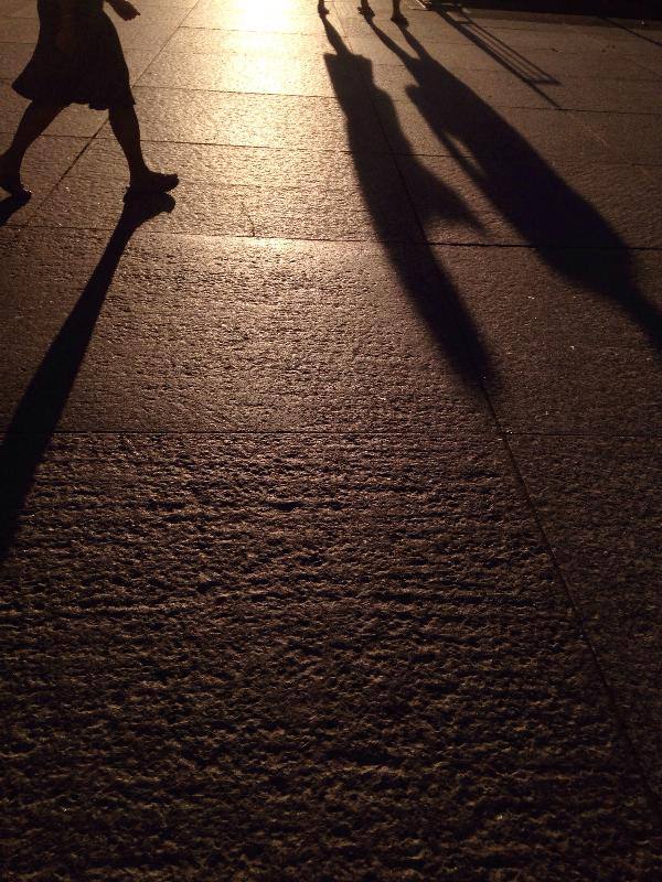 Dolam dzenler, kalp, damar , beynin damarsal hastalklar riskini azaltr