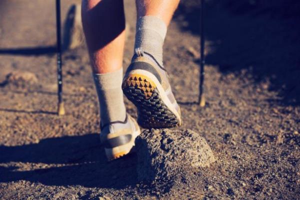 Kan yalarnn dzenlenmesini salar. yi huylu kolestrol ( HDL) ykseltirken kt huylu kolestrol (LDL) azaltr.