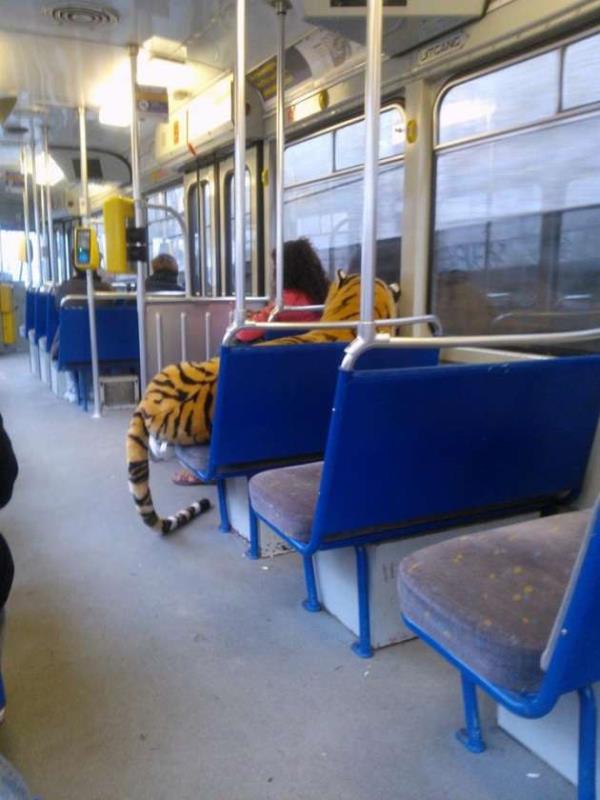 Dnyann drt bir yanndan gelen gnn en komik fotoraflar...