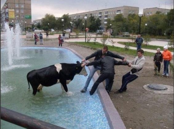 Biz onlar, onlar da bizi ok sevdi. Bouna deil?     <p>(Kaynak: nediyor.com)</p>