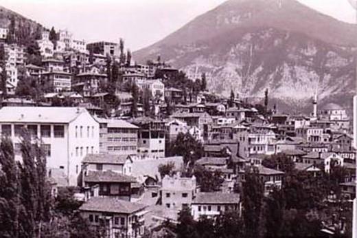 Artvin