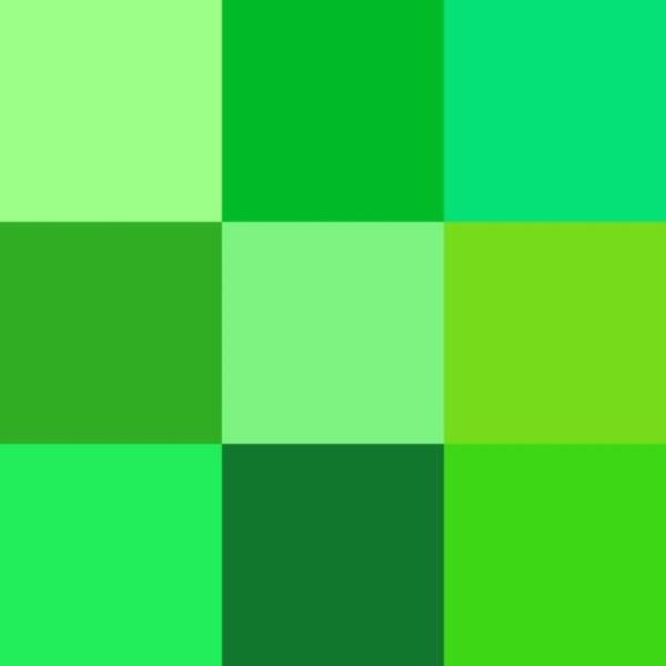 Yeil renk ise yzde 15'lik bir orana sahip. Yeil dnyay, dourganl ve Mslman inancn temsil ediyor.