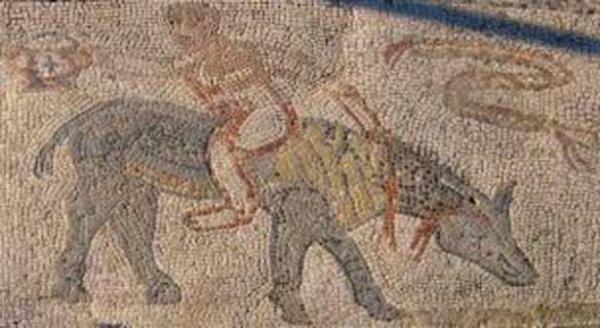 "Yeil Yry" olarak bilinen bu eylem, Fas kral Hassan tarafndan imdilerde Bat Sahra olarak bilinen blgedeki ynetimi ele geirmek amacyla organize edilmiti.