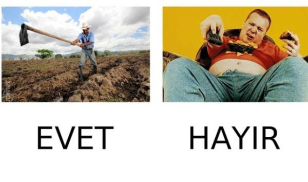 19. nsan bedeni uzun sre oturmak iin elverili bir yapya sahip deil.