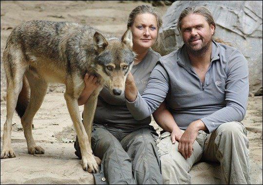 30 yandayken tant ve evlendii eini de kurt hayat yaamay sevdirmi ve Isla da onun gibi kurtlaryla birlikte bir kurt gibi yayor.