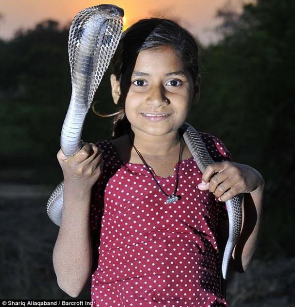 leride babas gibi ylan yakalaycs olmak isteyen kk kz grenleri hayrete dryor.