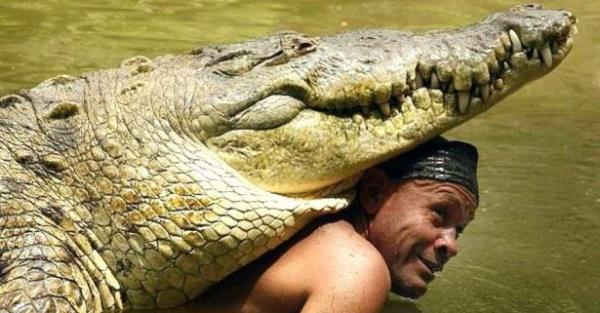 Ayn zamanda turistlere gsteri de yapyorlard.Fakat ne yazk ki Pocho 2011'de 50'li yalarndayken doal sebeplerden dolay ld ve cenazesine Chito'nun yaad ehirdeki herkes katld ki bu tarihte bir timsaha dzenlenen tek cenaze trenidir.