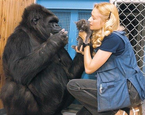 Francine'le 40 yldan fazla sredir birlikte yayorlar, birlikte film izlemeye ve sohbet etmeye baylyorlar.