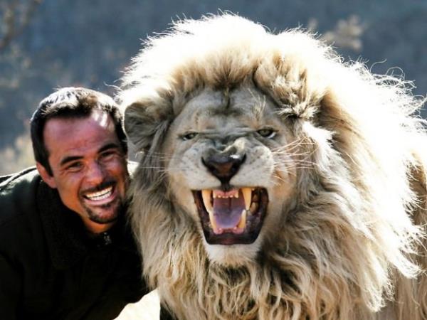 Srlerin arasna girmekte hi bir zorluk yaamyor ve onlarla oyunlar oynuyor, yzyor, uyuyor, kouyor...