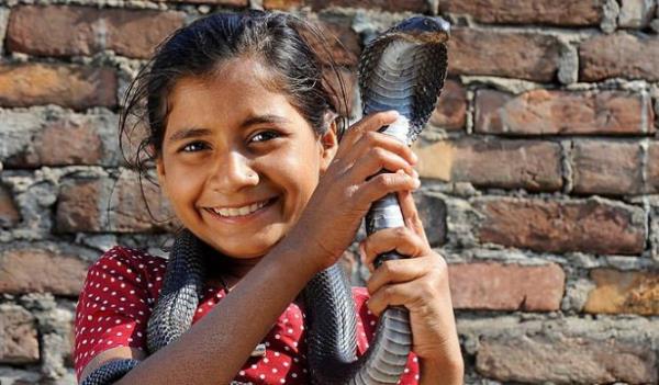 Garip olan ise Kajol insanlarla vakit geirmeyi sevmedii iin okulu brakm ve kendini kobralara adam.