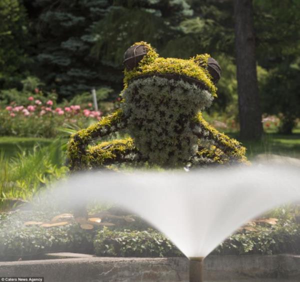 Dnyann birok lkesinden derlenen fotoraflar en iyi budama sanatnn rneklerini temsil ediyor..