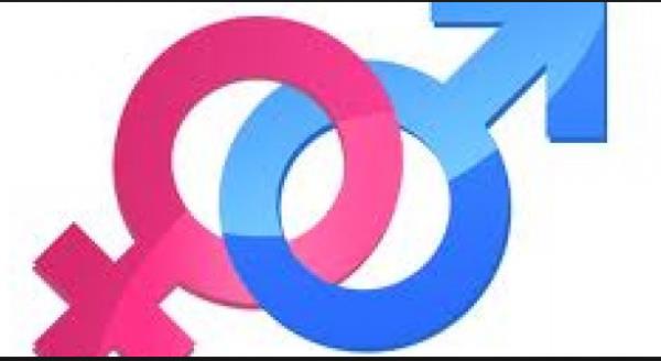 Bilim adamlar, lise yllarndan erikinlik dnemine dek yaklak 20 bin Amerikal gencin salk verilerinin incelendii aratrmalar deerlendirdi.