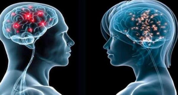 Baa alnan darbe IQ'yu dryor