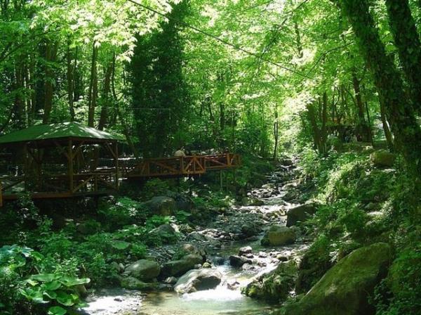 5. Polonezky'de gezintiye kmak yapmak.