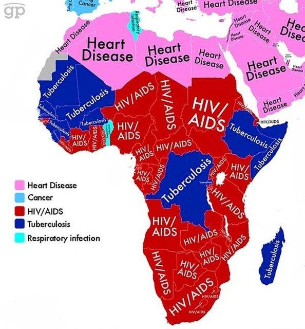 Msr, Cezayir, Libya'da kalp hastalklar en ok lme sebebiyet veren rahatszlktr. Bunun yannda, G. Afrika, Nijerya,Mozambik, Kamerun, Kenya, Gana, Sudan, gibi lkelerde en ok AIDS can alyor. Kongo, Somali, Madagaskar gibi lkelrde ise Tberkloz.