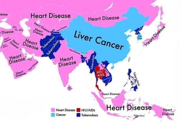 Suudi Arabistan, ran, Hindistan, Kazakistan, Moolistan, Endonezya, zbekistan, Japonya, Nepal ve srail gibi lkelerde en ok lm kalp hastalklardan dolay meydana geliyor.